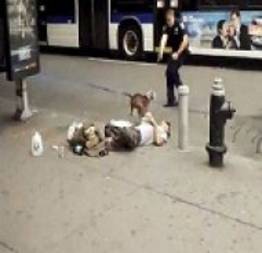 Vídeo em que Pit Bull leva tiro de policial em avenida de Nova York é divulgado