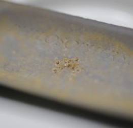 Pesquisadores descobrem bactéria que produz ouro puro