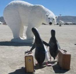 Por que não existe urso no Pólo Sul e pingüim no Pólo Norte?