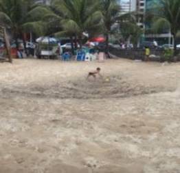 Praia limpa, onde crianças brincam em areia poluida