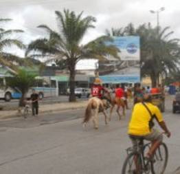 Cavalos, bicicletas e carroças nas ruas