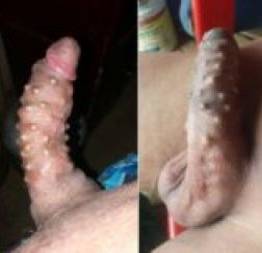 Pênis cheio de piercing bizarro