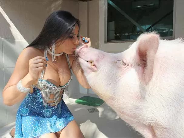 Sexo com porco bestialidade amadora