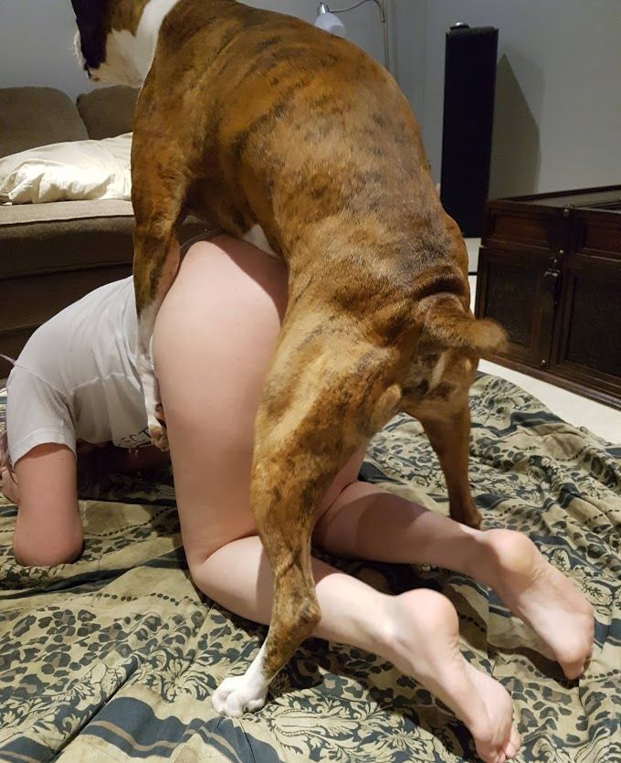 Marido corno filmando esposa engatada com dog