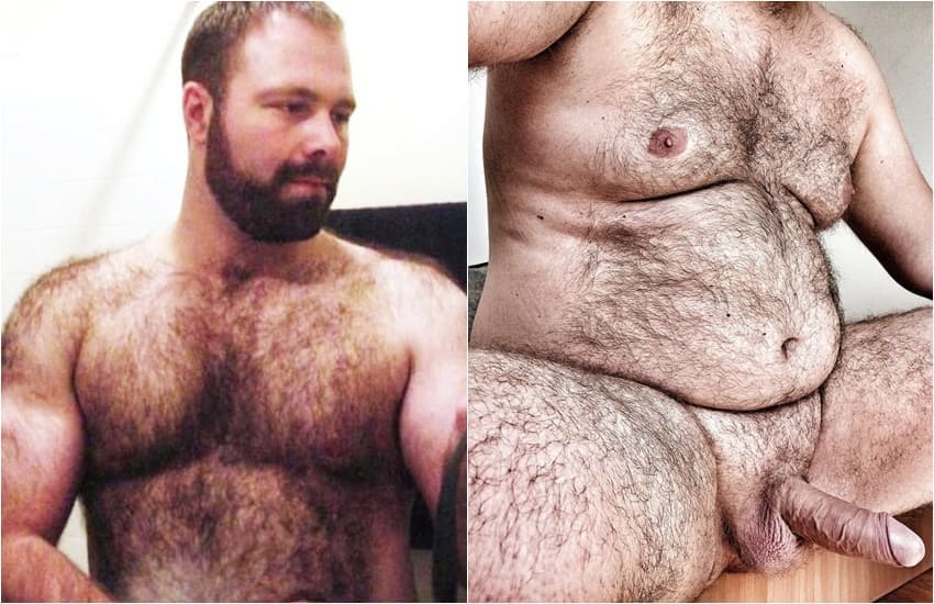 Fotos picantes de ursos gays pelaos exibindo o pau duro