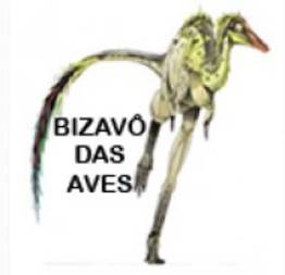 Encontrado dinossauro brasileiro ancestral das aves.