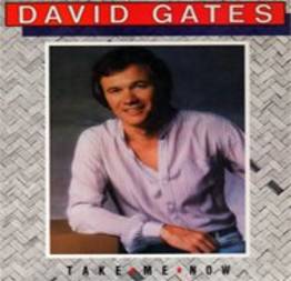 David Gates - Take me now