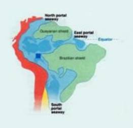Pesquisa sobre anêmonas sugere que América do Sul teve “mar interno”