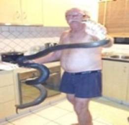 Australiano posa de cueca com cobra de 2 m após capturá-la no armário