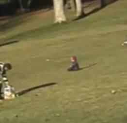 Águia ataca e quase leva criança em parque de Montreal. Assista o vídeo!