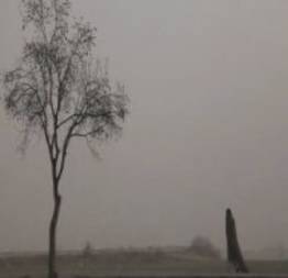 Fotógrafos ao redor do mundo registram cidades tomadas pela neblina