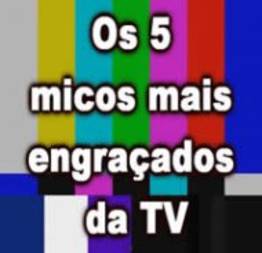 Os 5 micos mais engraçados da tv