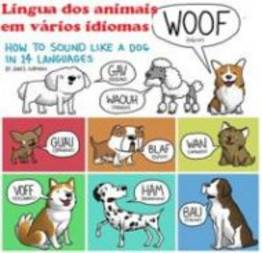 O som feito por animais em outros idiomas (11 fotos)
