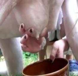 Mulher vaca dando leite