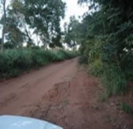 Foda na estrada caiu na net