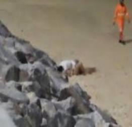 Casal é flagrado fazendo sexo na praia,em Ponta Negra