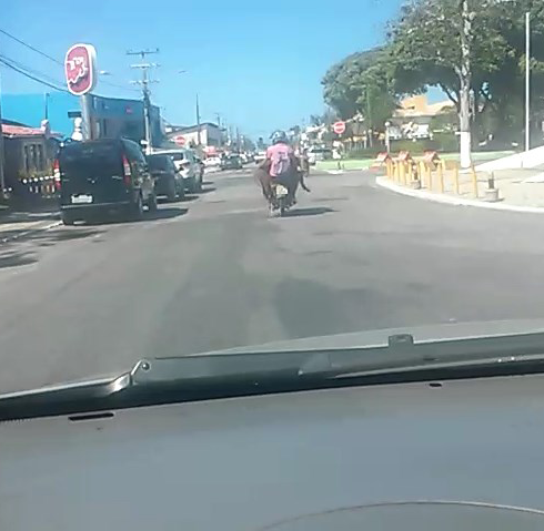 Motociclista flagrado levando potrilzinho em sua moto