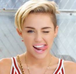 Miley cyrus deixa fãs passarem as mãos em seu corpo
