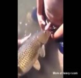 Fazendo sexo com peixe