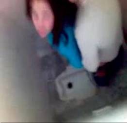 Novinha deu o cu no banheiro e foi filmada