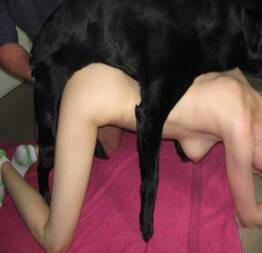 Novinha transando com cachorro preto