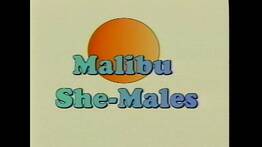 1996 - Malibu-She Males